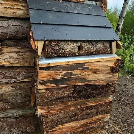 Cabane Atypique Sur Une Ile Sury-aux-Bois Extérieur photo