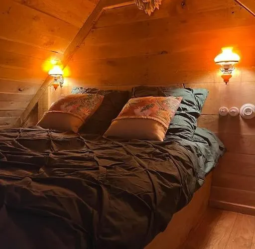 Cabane Atypique Sur Une Ile
